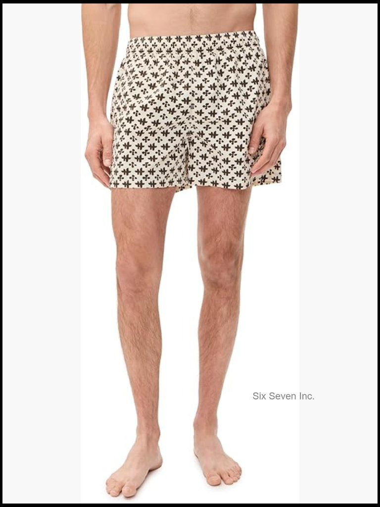 Men's Printed Swim Trunks 4" Inseam Lightweight Nylon